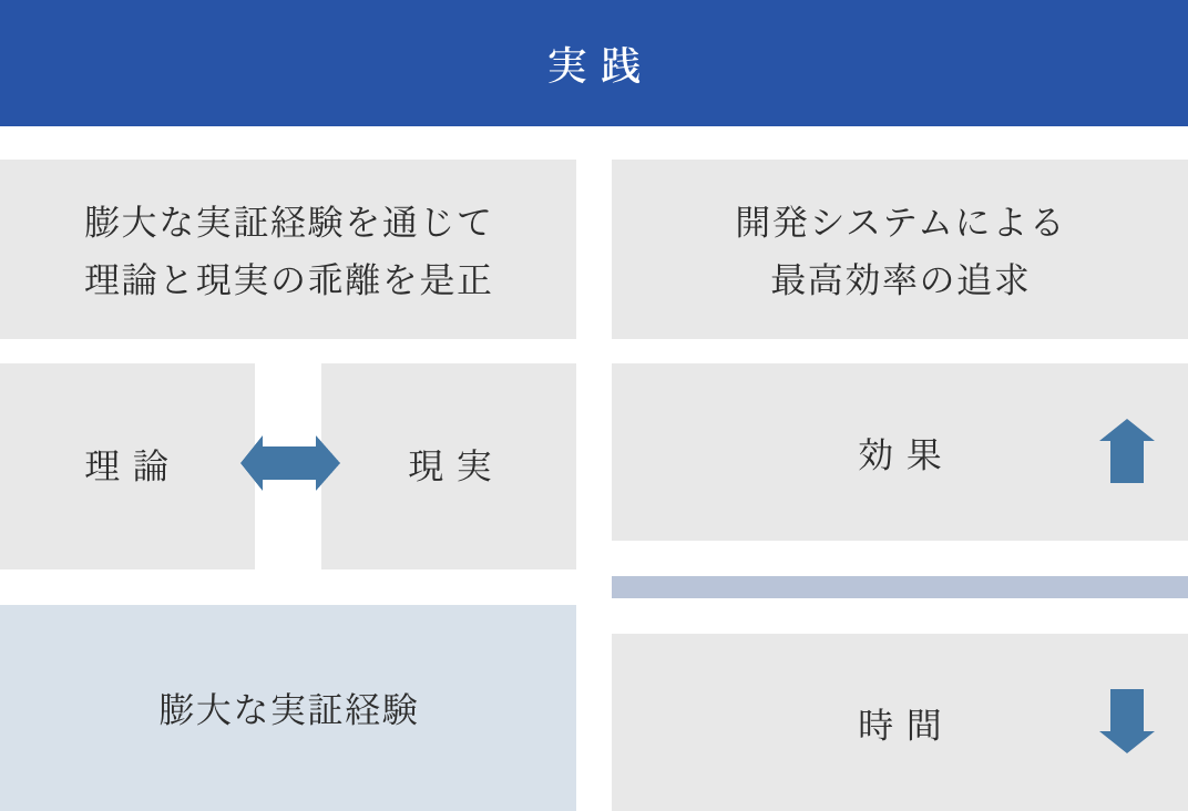 実践